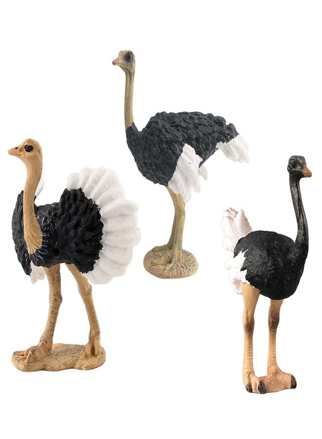 Rardsay 3 Pcs Realistic Ostrich Family Figurines Cake Topper Hand Painted Wildlife Ostrich Animal Figures Statue for Home Decor Birthday Gift Educational Learning Props - Image 1