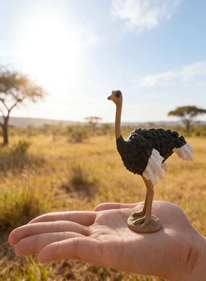 Rardsay 3 Pcs Realistic Ostrich Family Figurines Cake Topper Hand Painted Wildlife Ostrich Animal Figures Statue for Home Decor Birthday Gift Educational Learning Props - Image 4