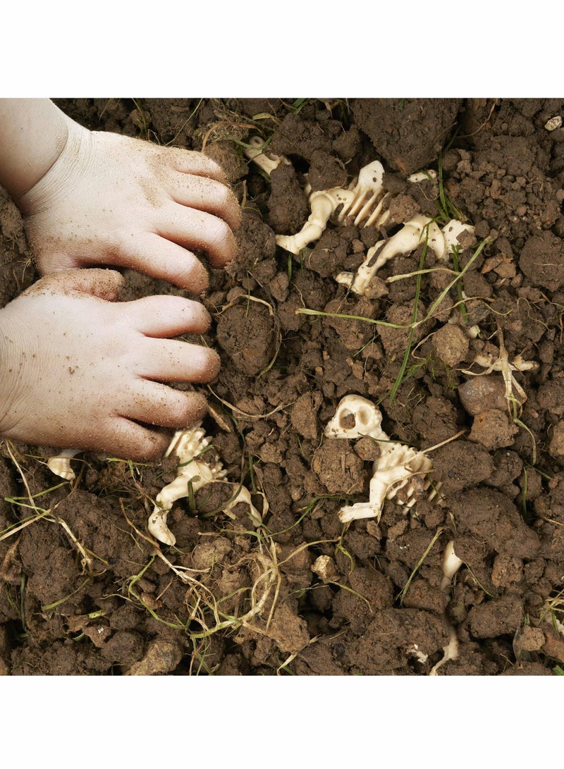 Excefore Dinosaur Fossil Skeletons,Figures Dino Bones,Dinosaur Skeleton Toys for Dino Sand Dig,Science Play,Party Favor,12 Styles,36 Pack - Image 4