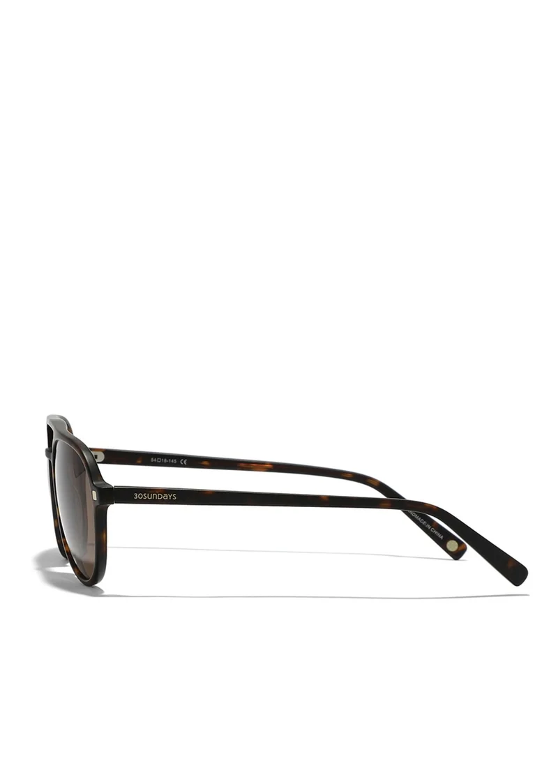 30 سندايز SHARPSHOOTER Men Brown Sunglasses - Frame Material: Acetate - Lens Color: Brown - Frame Color: Tortoise - Full Rim