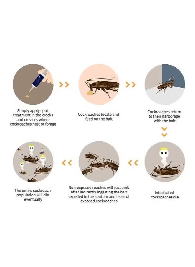 Cockroach جل قاتل الصراصير (1 أنبوب + 1 مكبس + 1 طرف) متعدد الألوان 30 جرام متعدد الألوان 30جرام - Image 2