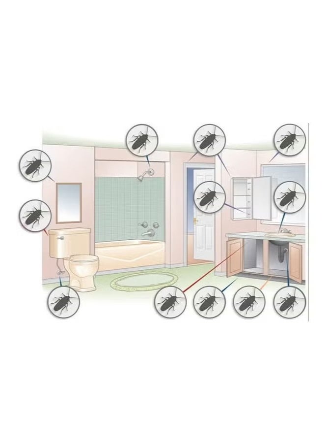 Cockroach جل قاتل الصراصير (1 أنبوب + 1 مكبس + 1 طرف) متعدد الألوان 30 جرام متعدد الألوان 30جرام - Image 3