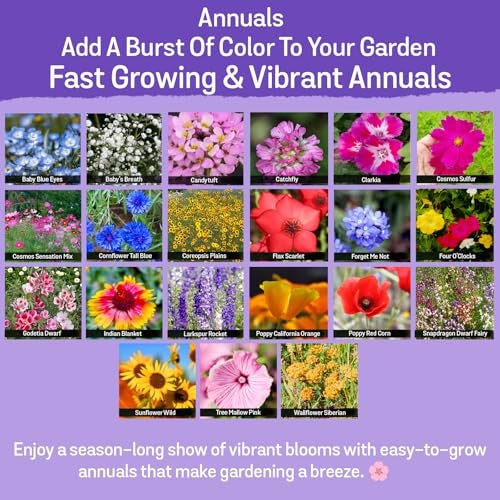 NatureZ Edge Wildflower Seeds Mix – 1/4 lb, 170,000 Seeds, 35 Variety Perennial & Annual Flower Seeds to Plant Outside, Bulk Wildflower Seeds, Wild Flower, Semillas de Flores - Image 3