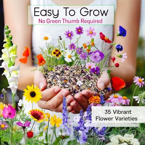 NatureZ Edge Wildflower Seeds Mix – 1/4 lb, 170,000 Seeds, 35 Variety Perennial & Annual Flower Seeds to Plant Outside, Bulk Wildflower Seeds, Wild Flower, Semillas de Flores - Image 2