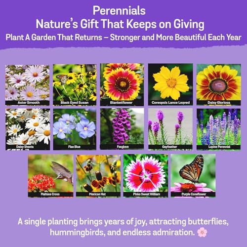 NatureZ Edge Wildflower Seeds Mix – 1/4 lb, 170,000 Seeds, 35 Variety Perennial & Annual Flower Seeds to Plant Outside, Bulk Wildflower Seeds, Wild Flower, Semillas de Flores - Image 4