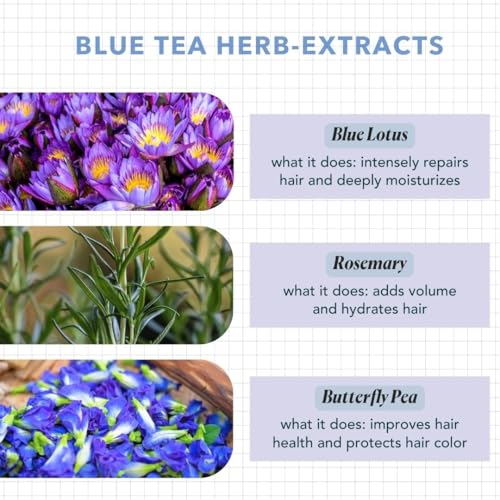 Paradyes Blue Lotus Tea Hair Perfume for Intense Hydration & Calming Fragrance | Made for all hair types | For Men & Women |100ml - Image 5