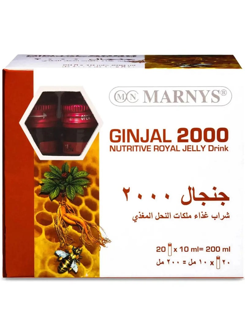 MARNYS GINGAL 2000 - 20 DRINKING BOTTLES * 10 ML - Image 1
