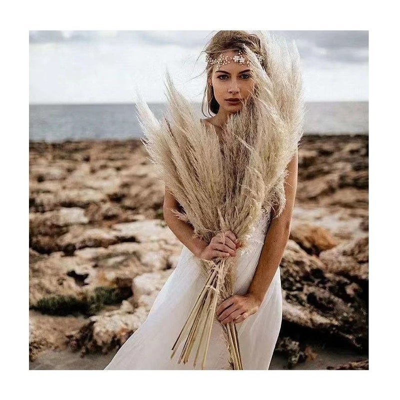 Bluejw Dried Pampas Grass Reed Decor - Natural Dried Flowers & Plants for Wedding, Home, Boho Floral Arrangements - Image 5