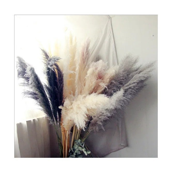 Bluejw Dried Pampas Grass Reed Decor - Natural Dried Flowers & Plants for Wedding, Home, Boho Floral Arrangements - Image 2