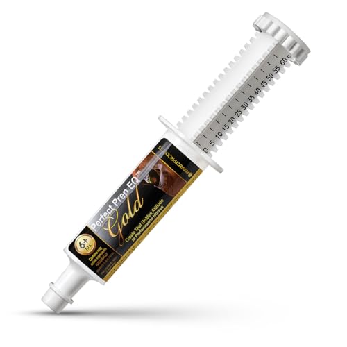 Perfect Products Perfect Prep EQ Gold Equine Calmer Long-Acting All Natural for Horse Anxiety, Lasts 18+ Hours, 60cc Paste - Image 1