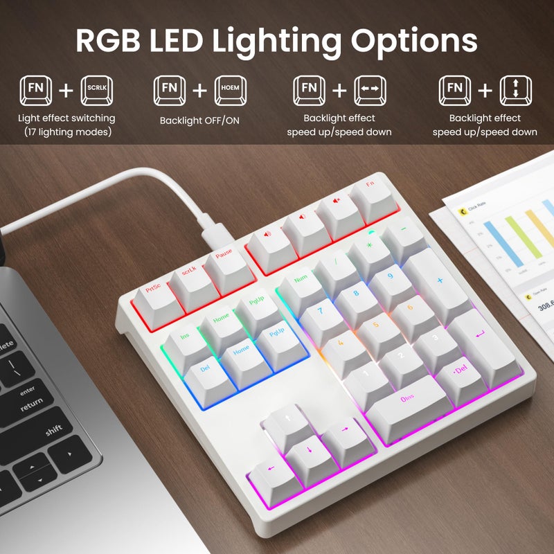 Gurjot Number Padï¼ŒMechanical USB Wired Numeric Keypad with RGB LED Backlit,34 Keys Numpad Keyboard with PBT Keycaps Blue Switches for Windows/Mac Laptop,Computer,Desktop,PC,Notebook (White) - Image 3