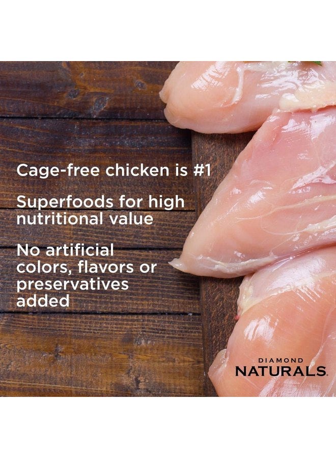 Diamond Naturals Real Meat Premium Small & Medium Breed Formulas Dry Dog Food with Protein, Probiotics and Antioxidants, Chicken and Rice, 6 pounds - Image 2