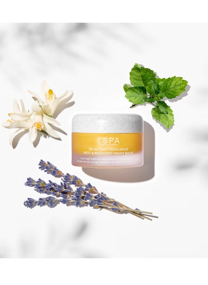 ESPA Tri-Active Resilience Rest and Recovery Night Balm 30g - Image 2