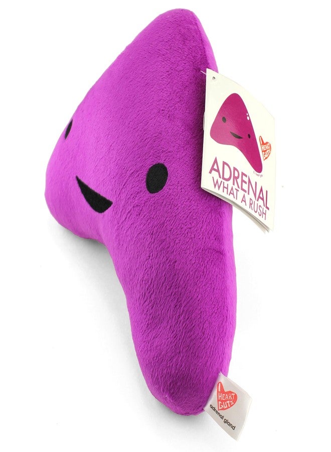 I Heart Guts Adrenal Gland Plush - What a Rush - 10" Adrenal Support Stuffed Toy Plushie | Get Well Gland Cushing's, Adrenals Insufficiency, Addison's, Adenoma Surgery Recovery Gift - Image 4
