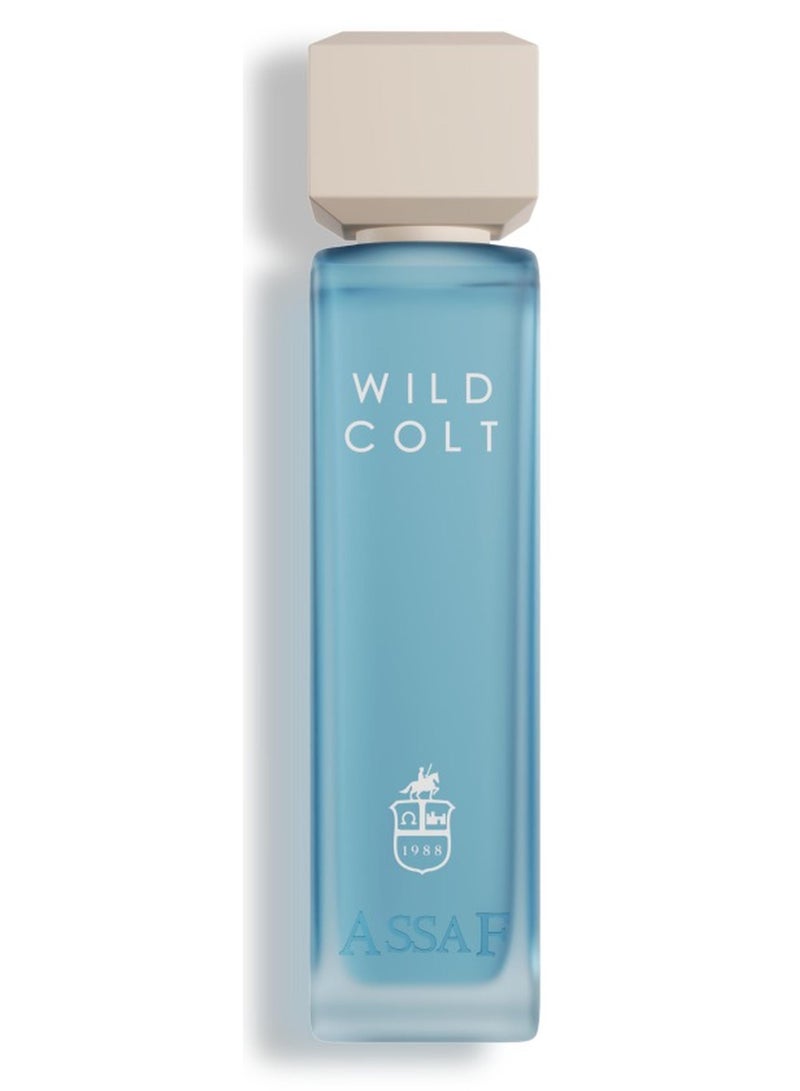 ASSAF Wild Colt 200 ml Eau de Parfum - Image 1