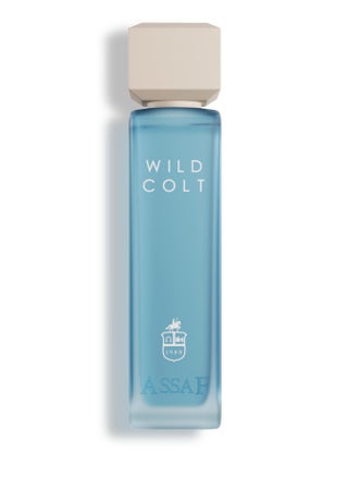 Wild Colt 200 ml Eau de Parfum - pzsku/Z82B8CDADF1AC159692D9Z/45/_/1733309868/18b4df45-fb93-4736-9786-9370d488729a