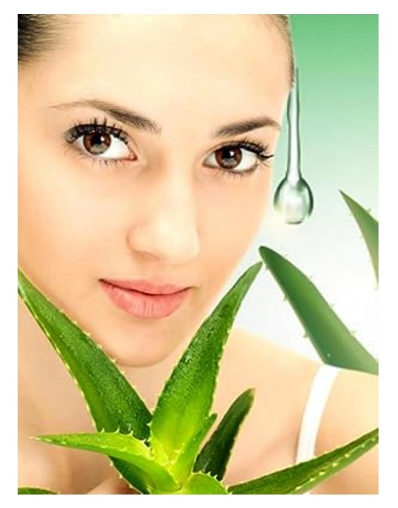 FEELHIGH Aloe Vera Scrub For Face  Body 500 Ml  All Skin Cleanser Scrub For Deep Exfoliation  Dead Skin Remover Scrub  Dirt Removal  Blackhead Remover Scrub - Image 2