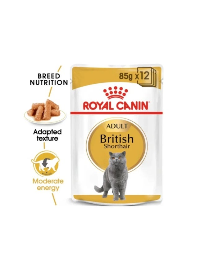 Royal Canin Feline Breed Nutrition British Shorthair Cat Wet Food - 12X85G - Image 3