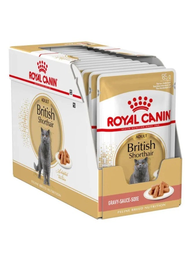 Royal Canin Feline Breed Nutrition British Shorthair Cat Wet Food - 12X85G - Image 2