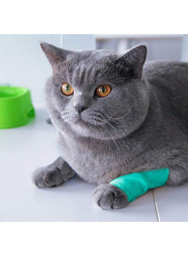 Kathson 2“ × 8 ”Vet Wrap Tape Veterinarian Self Adhesive No Chew Bandage Wound Dressing Medical Bandage Gauze For Animals Pets Dogs Cats Horses Ear Feet Paw Tail Injury（Green) - Image 3