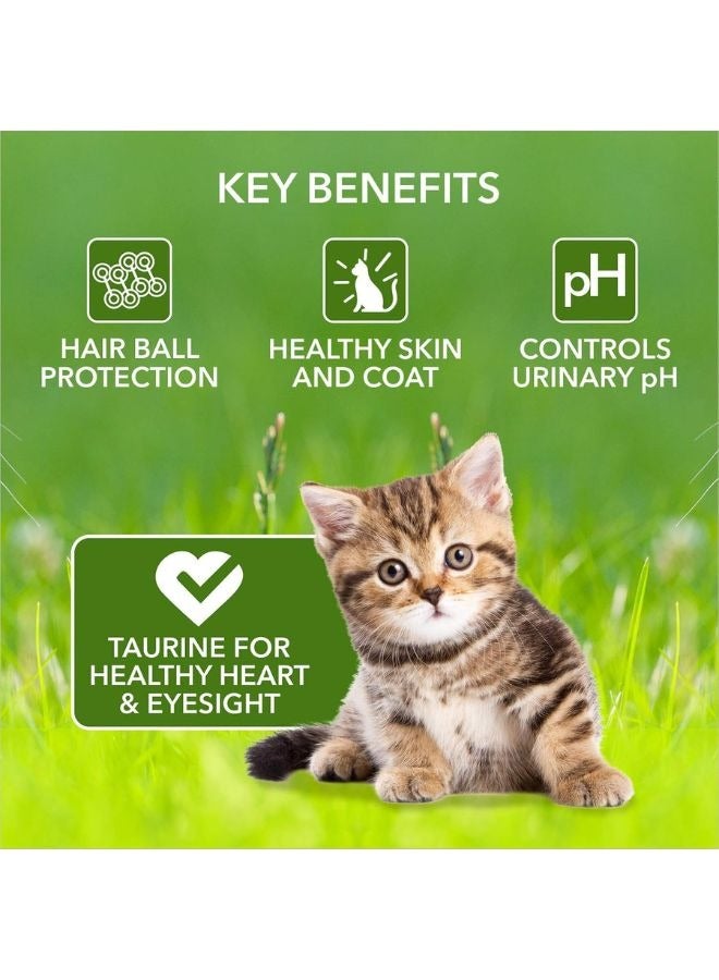 Meatup Kitten Dry Cat Food Ocean Fish (Buy 1 Get 1) 2 x 1.2 Kg - Image 4