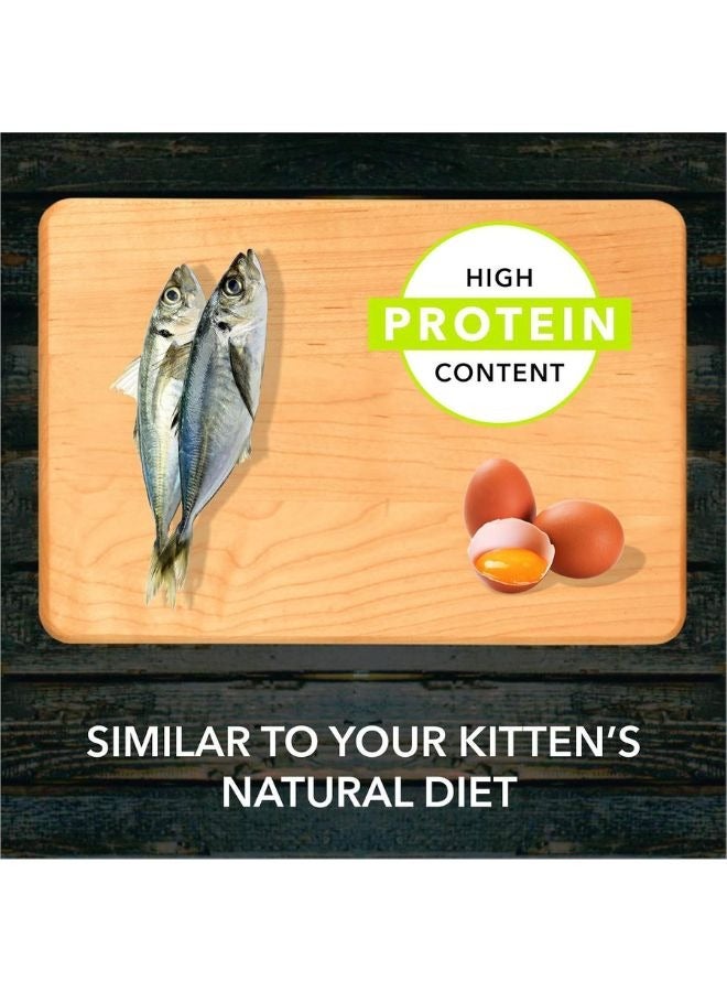 Meatup Kitten Dry Cat Food Ocean Fish (Buy 1 Get 1) 2 x 1.2 Kg - Image 3