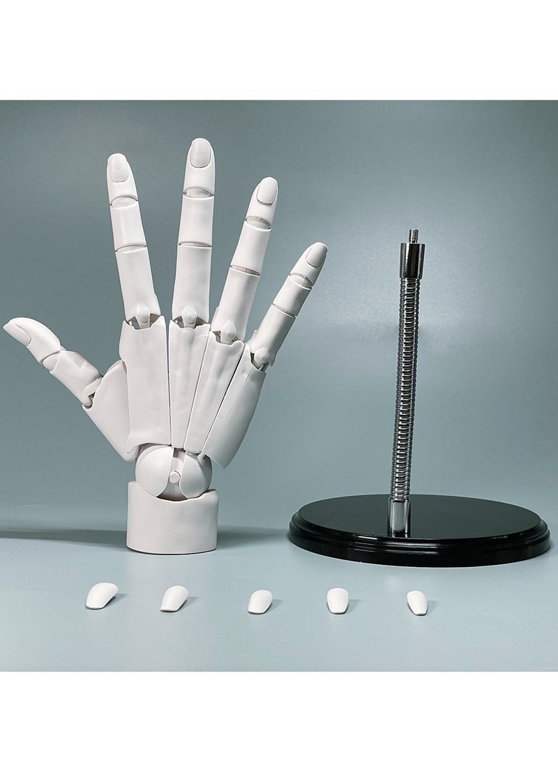 general Super movable 1:1 hand model, finger joints, bionic knuckles, animation painting, prime body art, hand-made - Image 1