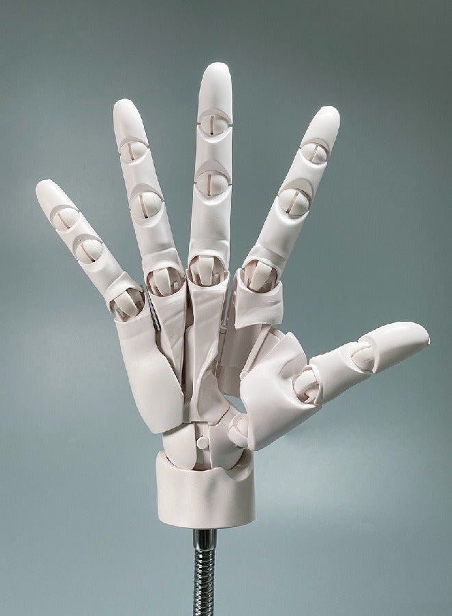 general Super movable 1:1 hand model, finger joints, bionic knuckles, animation painting, prime body art, hand-made - Image 4