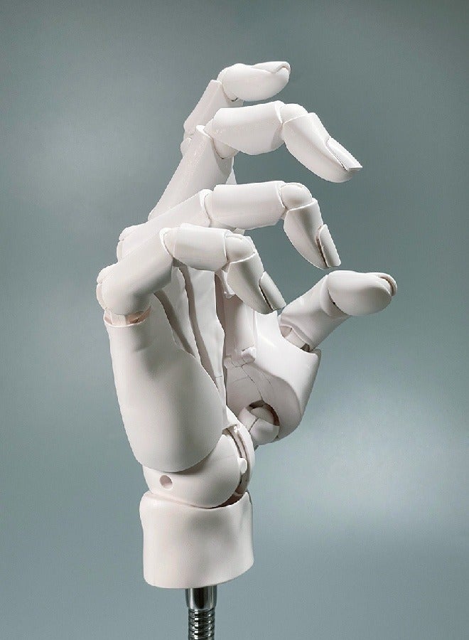 general Super movable 1:1 hand model, finger joints, bionic knuckles, animation painting, prime body art, hand-made - Image 5