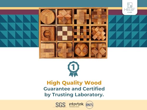 BSIRI Wooden Puzzle Box Set 12 Games Challenging Brain Teasers and 3D Puzzles for Adults Interlocking Games Ideal for Patio Decor and Unique Gift for Chistmas - Image 5