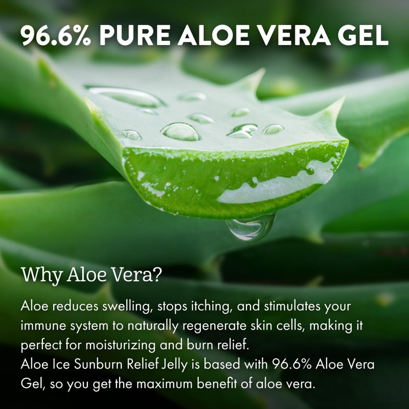 ALOE UP Aloe Ice Sunburn Relief Jelly - Face and Body Organic After Sun Gel - With 96.6% Pure Aloe Vera Gel - Reef Safe - Alcohol- and Fragrance-Free - 4 Oz - Image 3