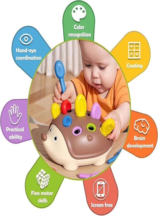 Vamotto Fine Motor Skills Toys for Toddlers 1-3, Hedgehog Montessori Toys with Color Sorting & Counting, Sensory Learning Toys for Baby 12-36 Months, Educational Toys Gift for Boys Girls - Image 3