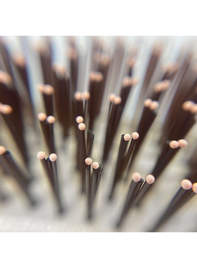 Phillips Brush Light Touch Brush 6P Hair Brush (Purse Size) - Image 4