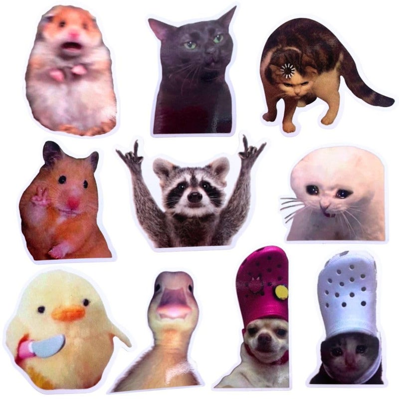 10PC Funny Meme Animals Fridge Magnets Fun Cute Weird Magnetic Crying Cat Dog Hamster Duck Magnets for Gaming Kitchen Home Decor Bumper School Locker Work for Boys Girls Adult Accessories