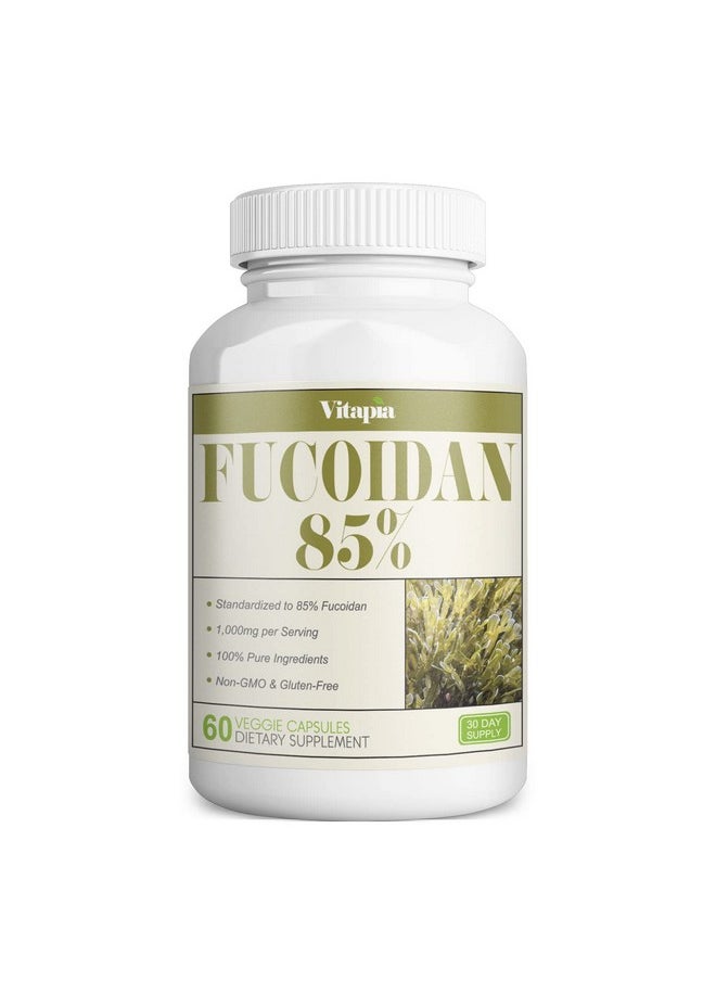 Fucoidan 1000Mg Per Serving Standardized To 85% Fucoidan Extract Capsules 60 Veggie Capsules Vegan & Non Gmo Supports Immune System Powerful Antioxidant