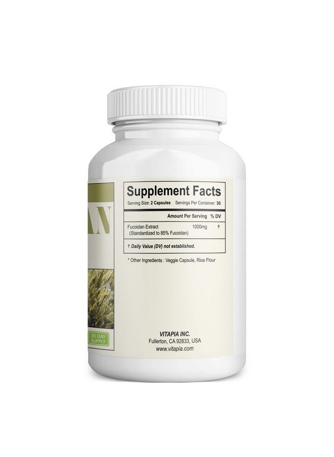 Fucoidan 1000Mg Per Serving Standardized To 85% Fucoidan Extract Capsules 60 Veggie Capsules Vegan & Non Gmo Supports Immune System Powerful Antioxidant