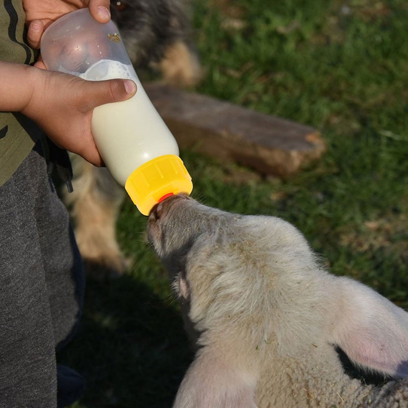 1 Set Lamb Feeding Bottles Calf Feeder Bottles Reusable Animals Feeding Bottles with Replace Pacifiers - Image 3