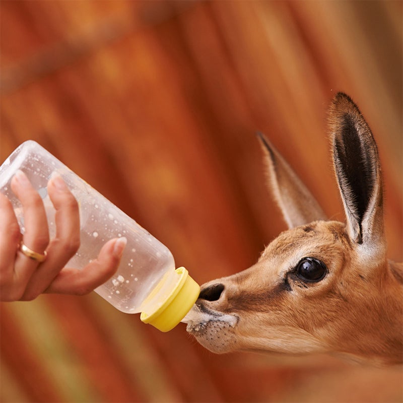 1 Set Lamb Feeding Bottles Calf Feeder Bottles Reusable Animals Feeding Bottles with Replace Pacifiers - Image 5