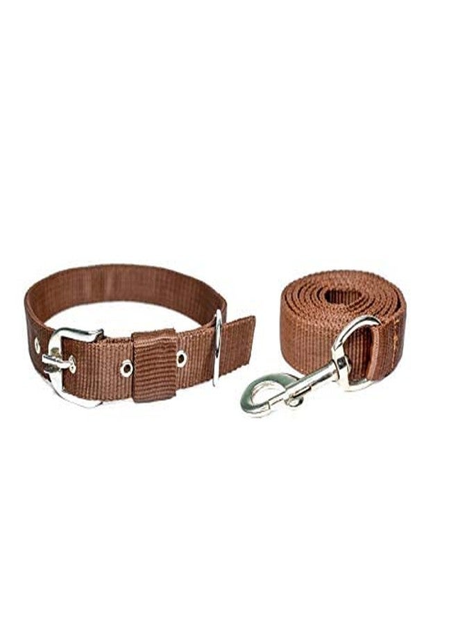 VIPCOLLECTION VIP Collection No Pull -Step in Soft Padded Buckle Dog Harness and Collar Leash - Escape Proof Adjustable Combo for Walking Training Hiking Outdoor (Brown, Extra Large) - Image 2