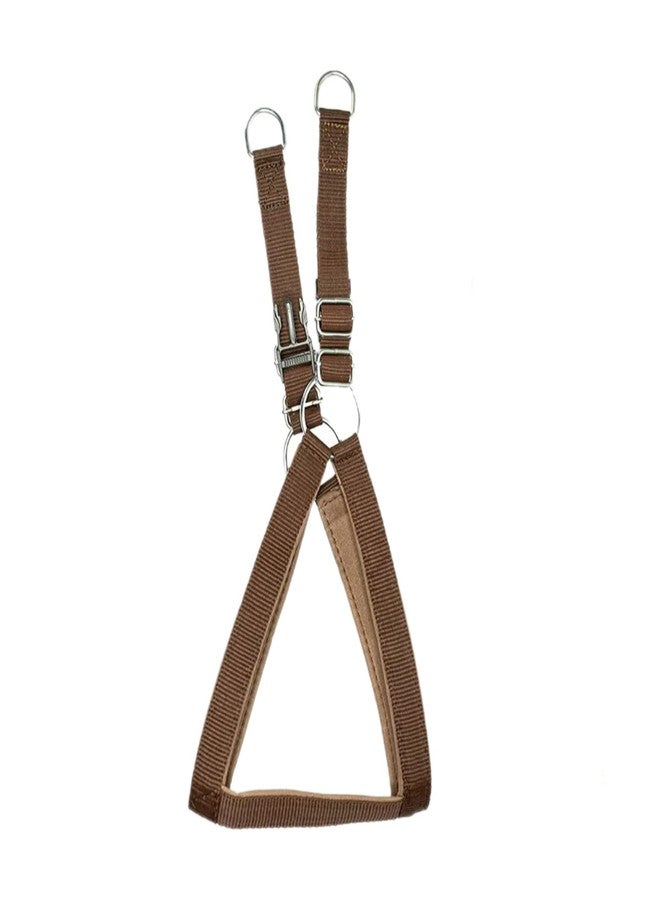 VIPCOLLECTION VIP Collection No Pull -Step in Soft Padded Buckle Dog Harness and Collar Leash - Escape Proof Adjustable Combo for Walking Training Hiking Outdoor (Brown, Extra Large) - Image 5