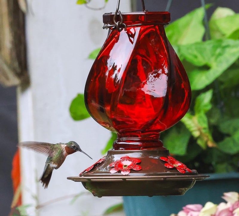 BOLITE Hummingbird Feeder, BOLITE Glass Hummingbird Feeders for Outdoors Hanging, with Ant Moat and Five Feeding Ports, 22 Ounces, Leak Proof, Red Bottle - Image 3
