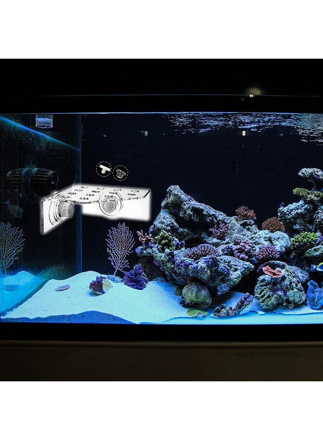 kcrygogo 13 Plug Holes Coral Frag Rack Clear Acrylic Coral Holder Aquarium Fish Tank Button Coral Reef Broken Frame Enhanced Suction Cup (2 Pack) - Image 3