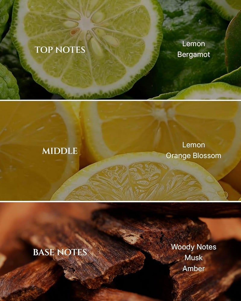 Aromadd Citrus Hotel Diffuser Oil Inspired by Luxury Hotel Scent, Premium Fragrance Oils for Waterless Diffuser, Luxury Lemon & Bergamot, Long-Lasting Home Fragrance - 3.38 fl oz (100 mL) - Image 2
