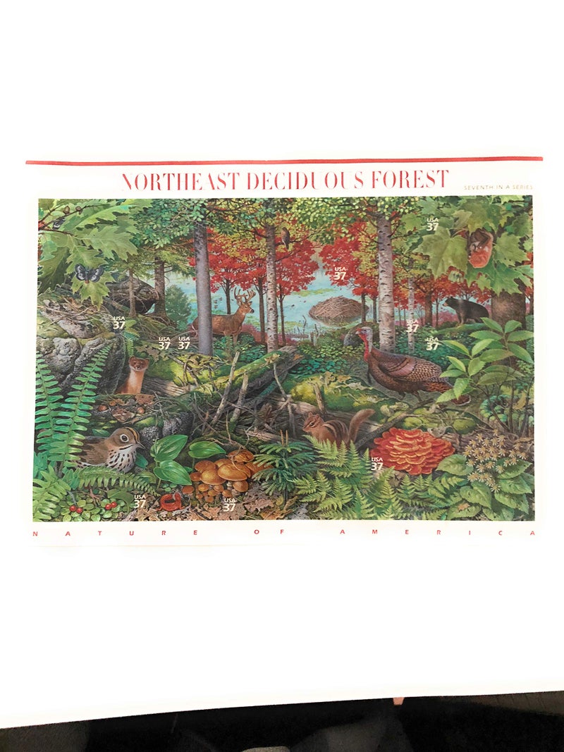 USPS Northeast Deciduous Forest Wildlife, Seventh in a Series, Nature of America (Pane of 10) 37 Cent Postage Stamps Scott #3899 - Image 1