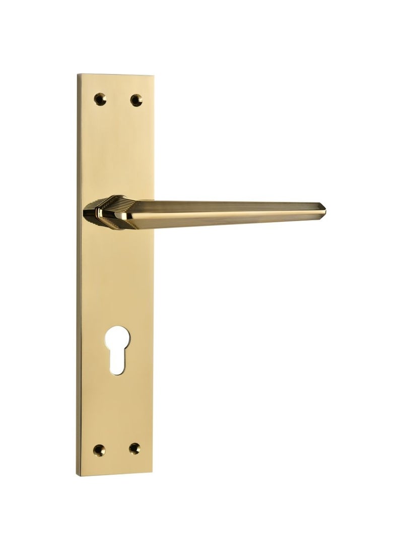 Milano Za Tishya Lm665-729 Plate Handle Pvd