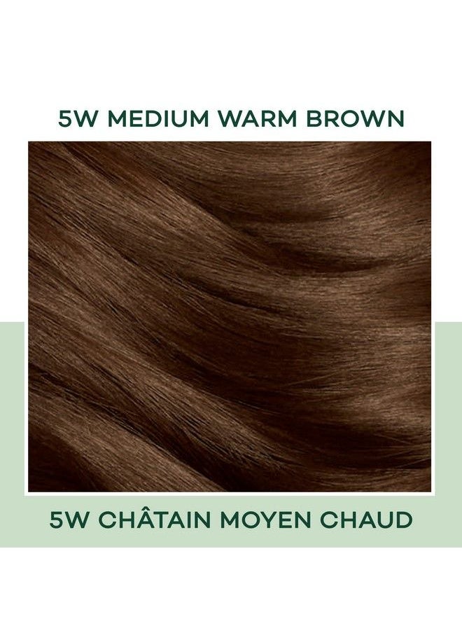 CLAIROL - Natural Instincts Demipermanent Hair Dye 5W Medium Warm Brown Hair Color Pack Of 1 - Image 1