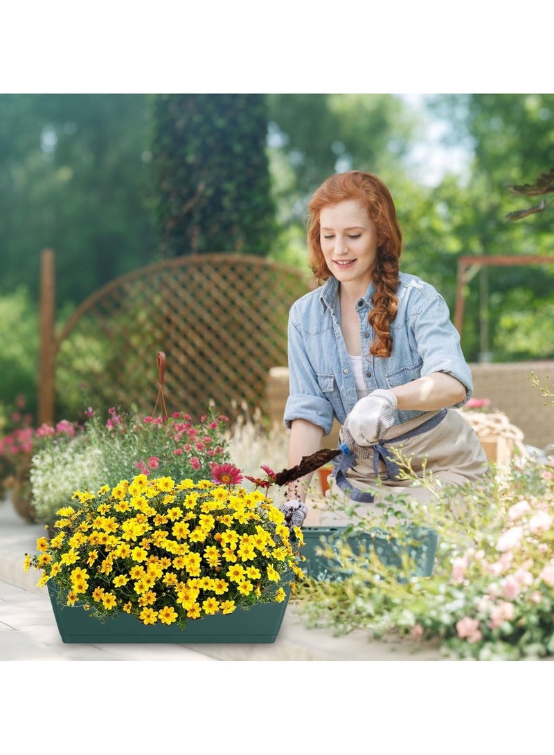 Arabest 6 Pcs Rectangle Plant Pot Plastic Flower Pots Window Planter Box Herb Plant Container with Drainage Holes & Removable Trays for Plants Herbs Succulents Indoor Outdoor Garden Patio Home (42x17x14cm) - Image 3