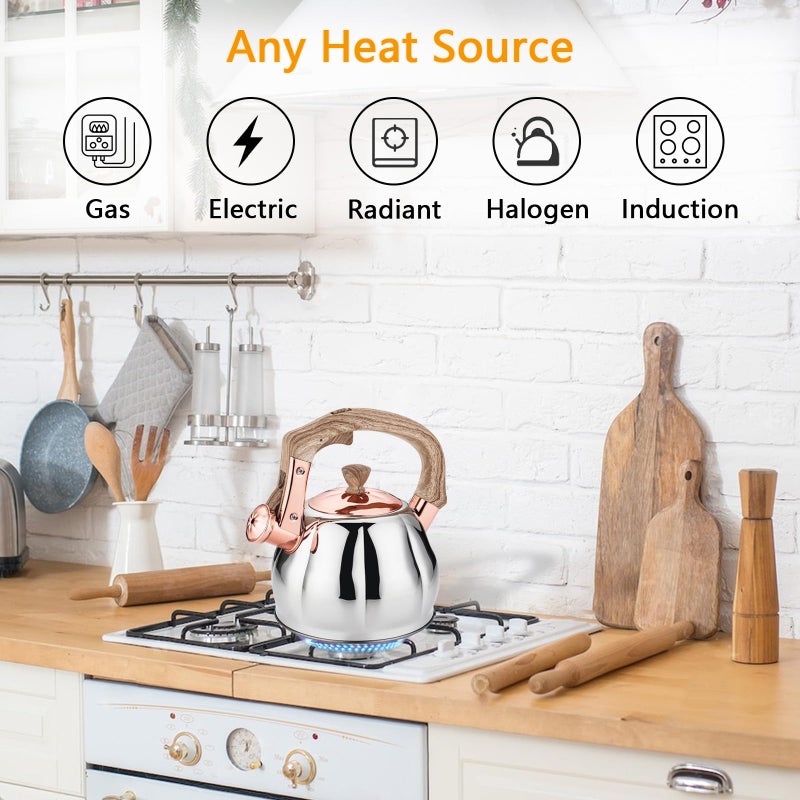 Lazneyru Stainless Steel Tea Kettle for Stove Top Teakettles Stovetop Whistling with Heat Proof Ergonomic Handle 2.5 Quart - Image 4