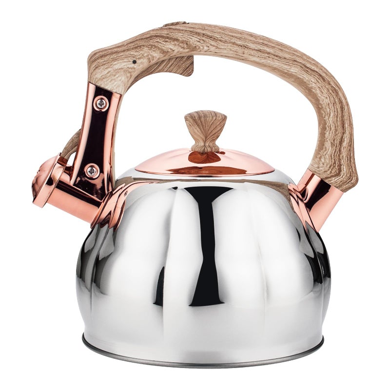 Lazneyru Stainless Steel Tea Kettle for Stove Top Teakettles Stovetop Whistling with Heat Proof Ergonomic Handle 2.5 Quart - Image 1