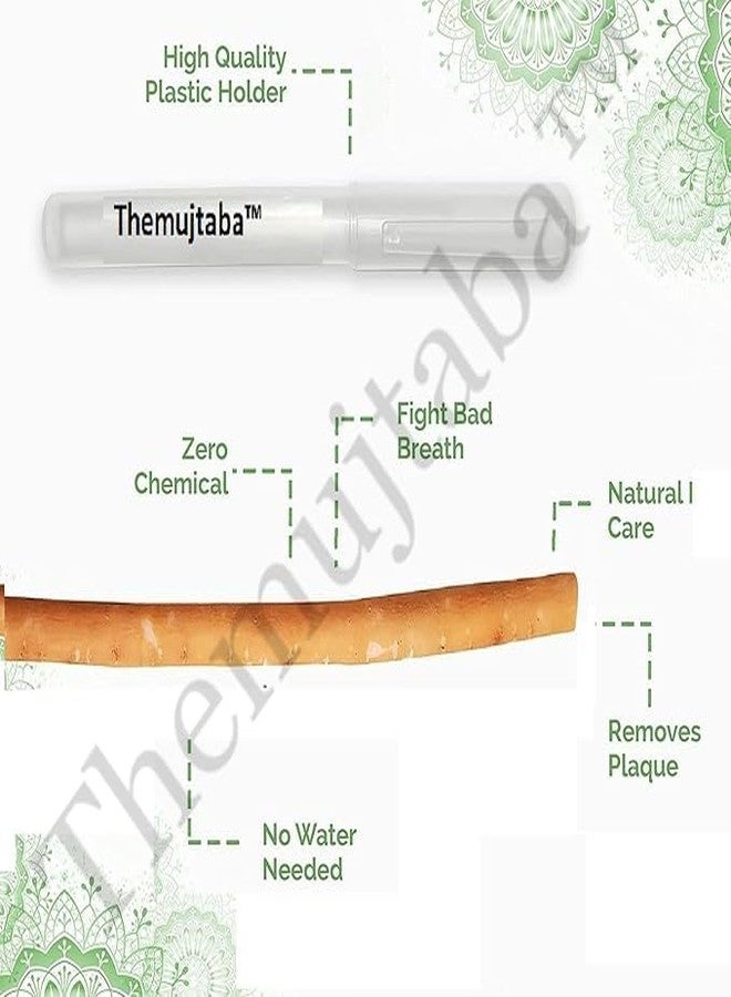 TheMujtaba Miswak Natural Teeth Cleaning Stick with Holder, Salvadora Persica Root, Manual Toothbrush Alternative, Pack of 2 - Image 2
